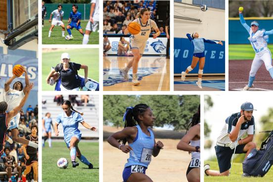 Nine sports