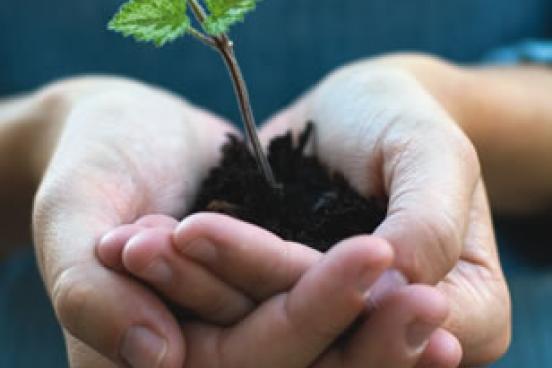 sustainability
