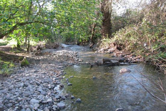 creek with water