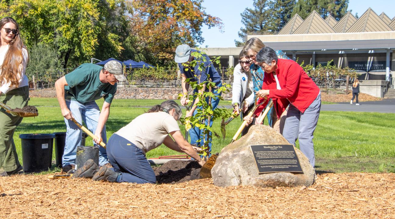 Peace Tree