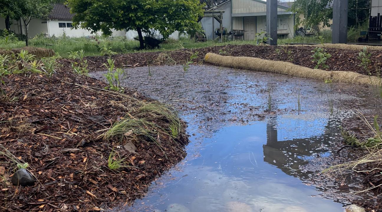 The bioswale with a volume of 150 cubic feet is capable of holding a little bit more than 1,100 gallons of water at a time. 