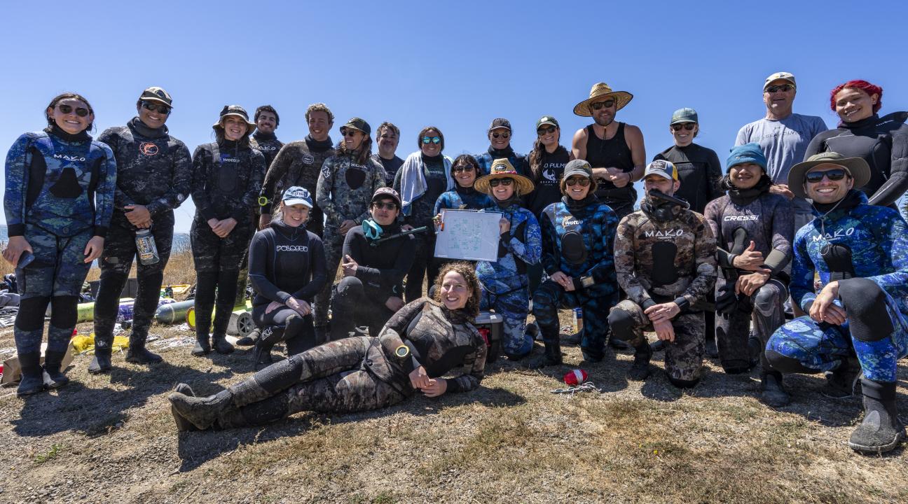 "Pycnopalooza" brought together 25 scientific divers representing universities, Tribal scientists, nonprofits, agencies, and conservation groups to document recently discovered Sonoma County population of sunflower sea stars. 