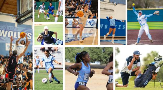 Nine sports