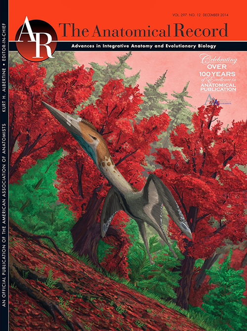 How Pterosaurs Filled Their Lungs