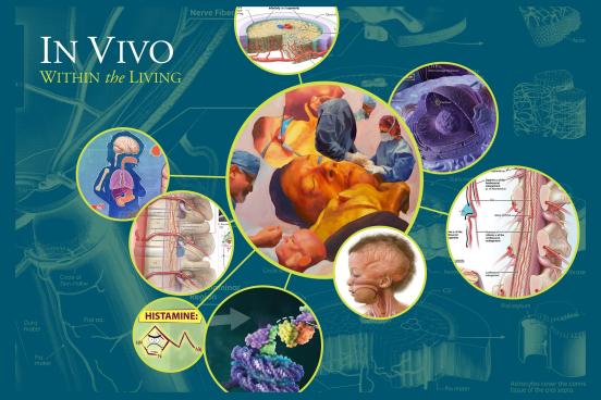 In Vivo: Within the Living an inspiring curated selection of paintings, medical illustrations, prosthetic devices and other work that bridges the worlds of fine art and medical science on view at the University Art Gallery at SSU from Feb. 5 to March 14, 2026