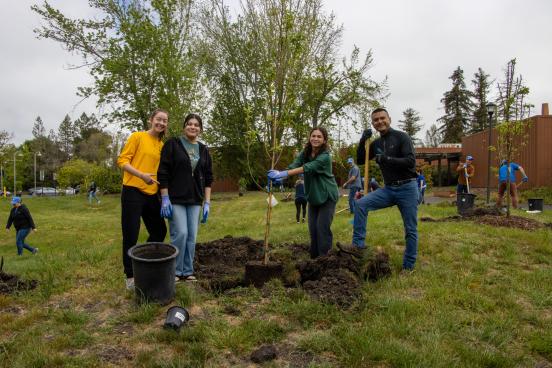 Volunteers at 2025 Sonoma State Seawolves Dig In plant new trees on campus.
