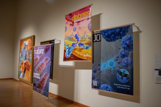 Paintings and medical illustrations featured in University Art Gallery exhibition "In Vivo: Within the Living" (Sonoma State University)