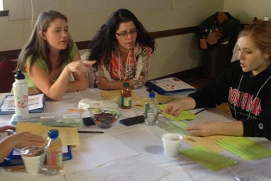 math teachers discussing ideas