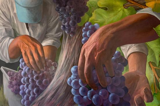 Jay Mercado, Alexander Valley Grape Harvest, 2022, oil on canvas