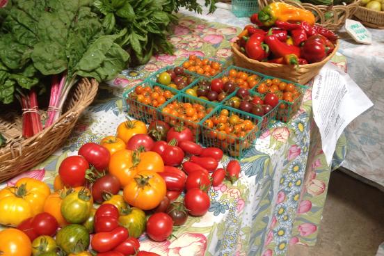 petaluma bounty food