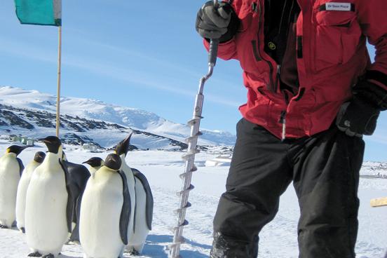 sean place with penguins
