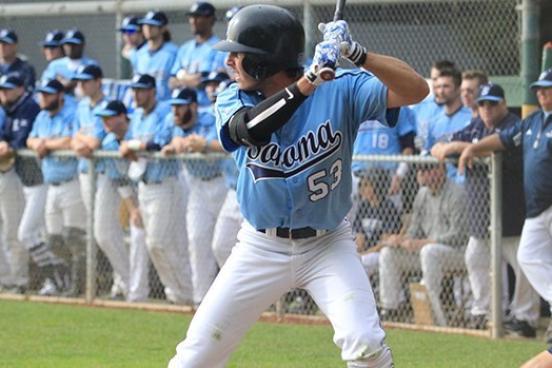 Daniel Caresio had two hits and an RBI in Sunday's loss against Chico. // Photo by SSU Athletics Daniel Caresio at bat
