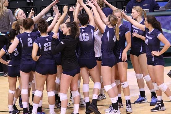 volleyball team