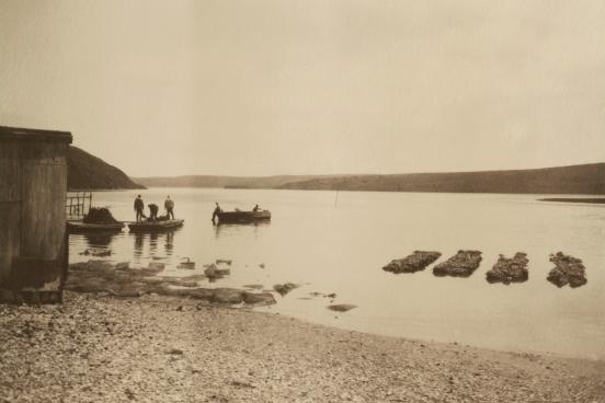 drakes bay