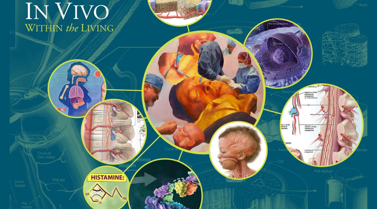 In Vivo: Within the Living an inspiring curated selection of paintings, medical illustrations, prosthetic devices and other work that bridges the worlds of fine art and medical science on view at the University Art Gallery at SSU from Feb. 5 to March 14, 2026