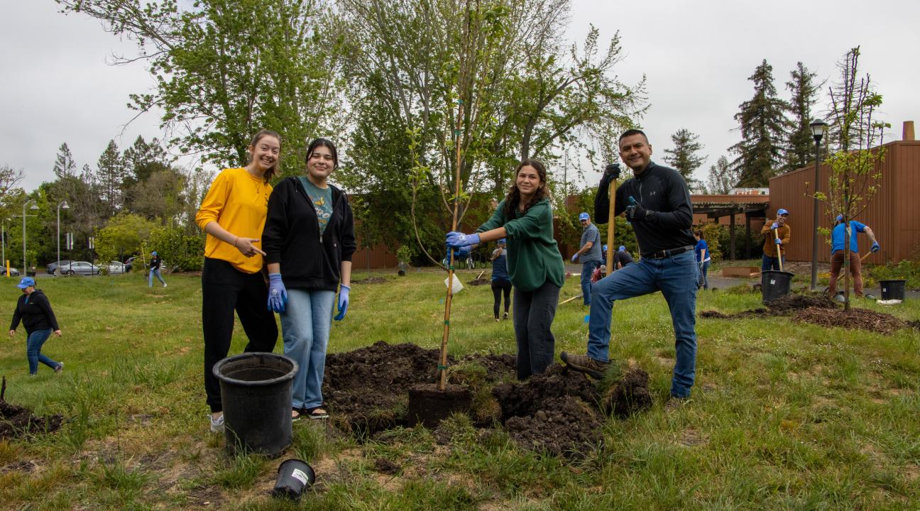 Volunteers at 2025 Sonoma State Seawolves Dig In plant new trees on campus.