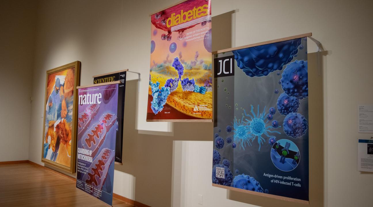 Paintings and medical illustrations featured in University Art Gallery exhibition "In Vivo: Within the Living" (Sonoma State University)