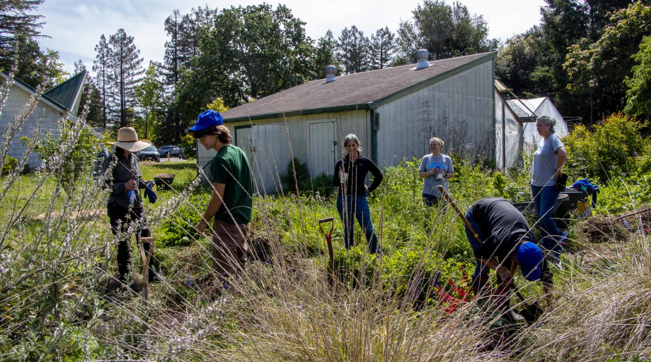 Volunteers roll up sleeves to green Sonoma State campus during 2026 Earth Week Seawolves Dig In activation