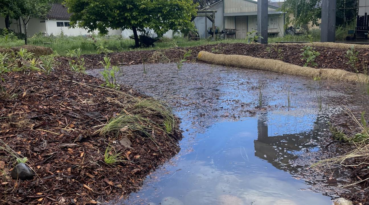 The bioswale with a volume of 150 cubic feet is capable of holding a little bit more than 1,100 gallons of water at a time. 