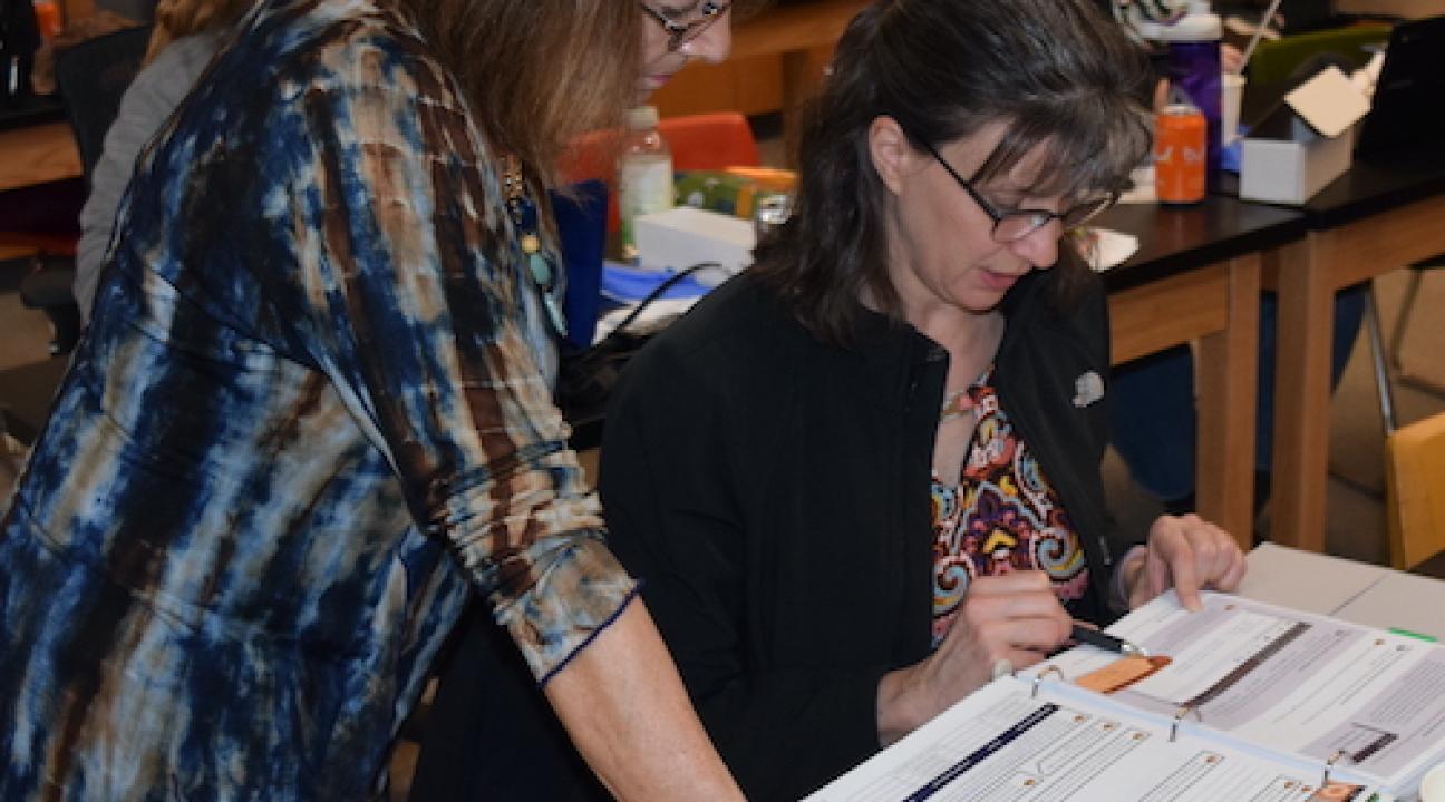 Lynn Cominsky and Laura Peticolas