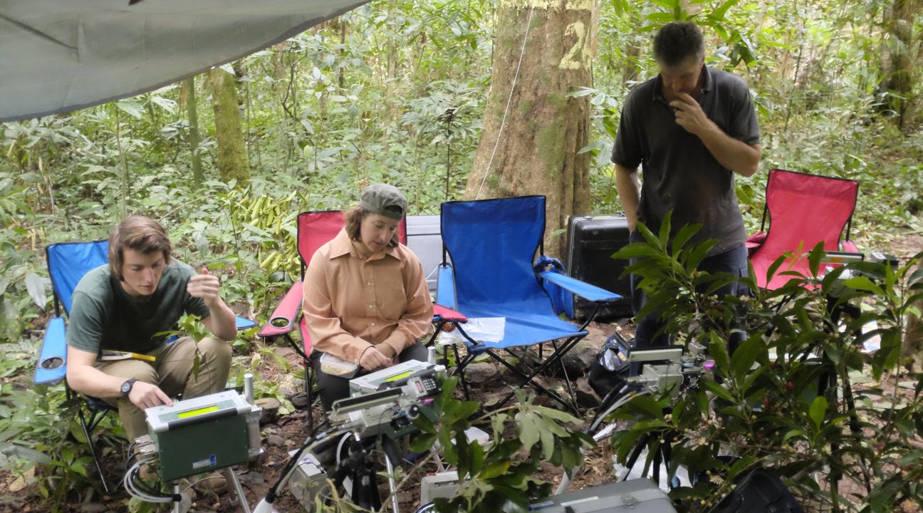  Co-authors Brandon McNellis, Lisa Patrick Bentley and Raymond Dempsey measure photosynthesis of tropical tree species in Australia.