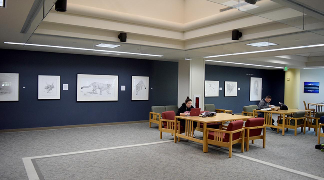 new spacious library art gallery