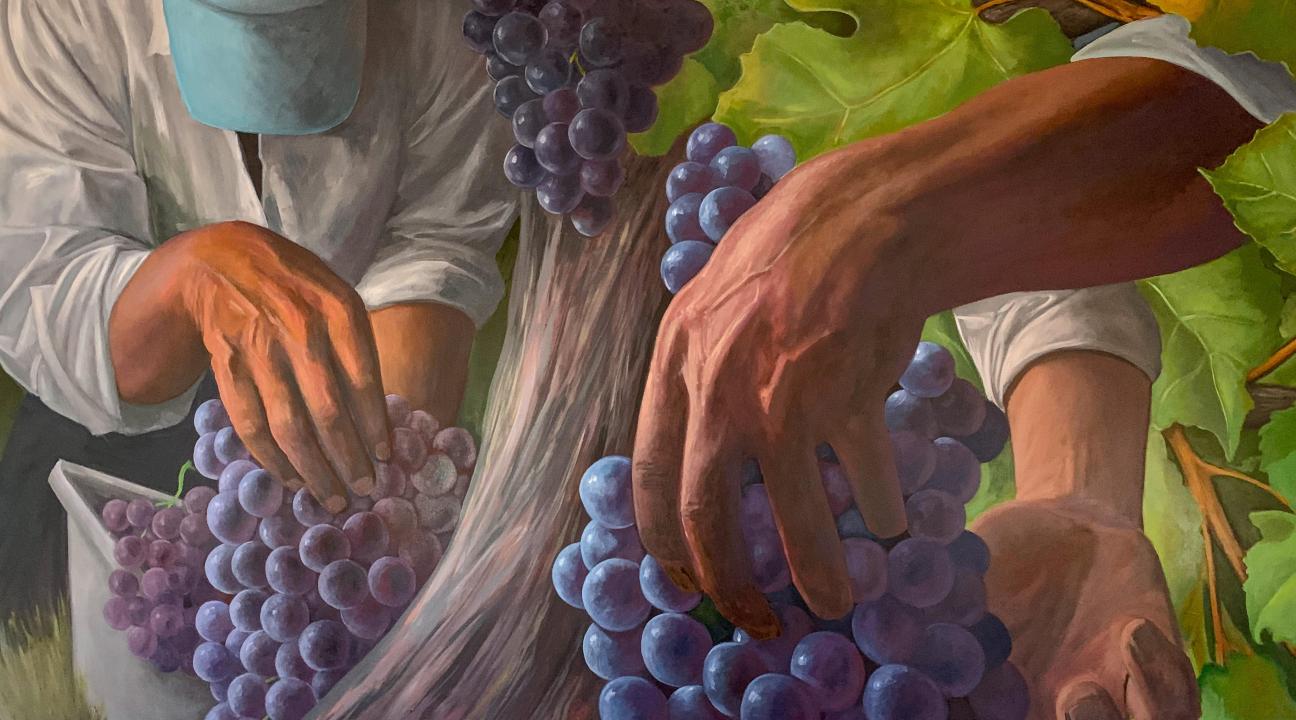 Jay Mercado, Alexander Valley Grape Harvest, 2022, oil on canvas
