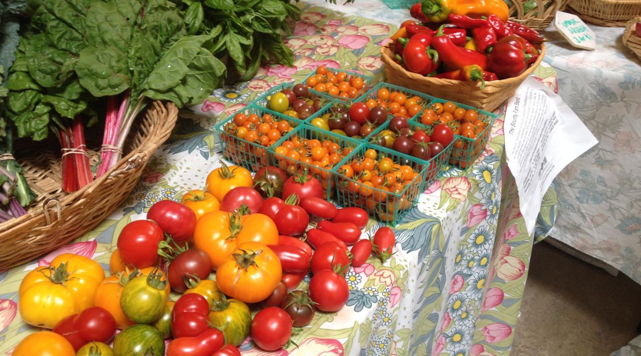 petaluma bounty food