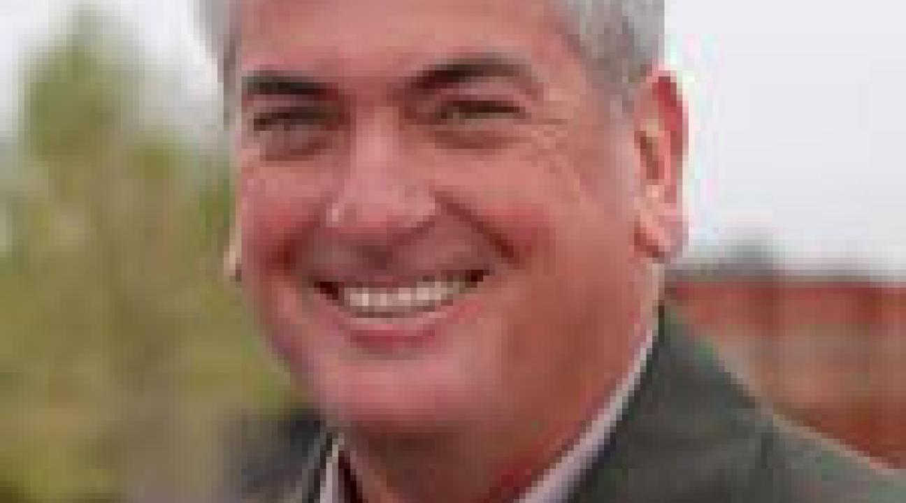david rabitt