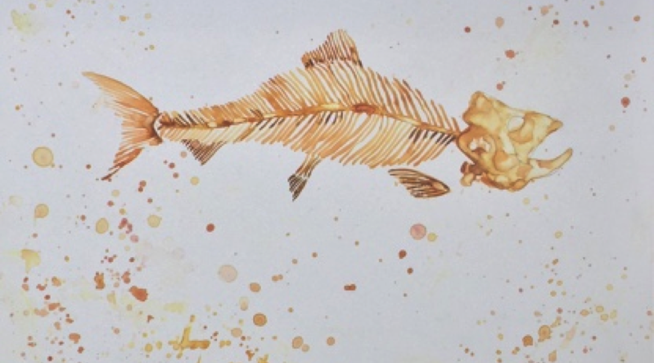 Herring Skeleton by Julia Edith Rigby