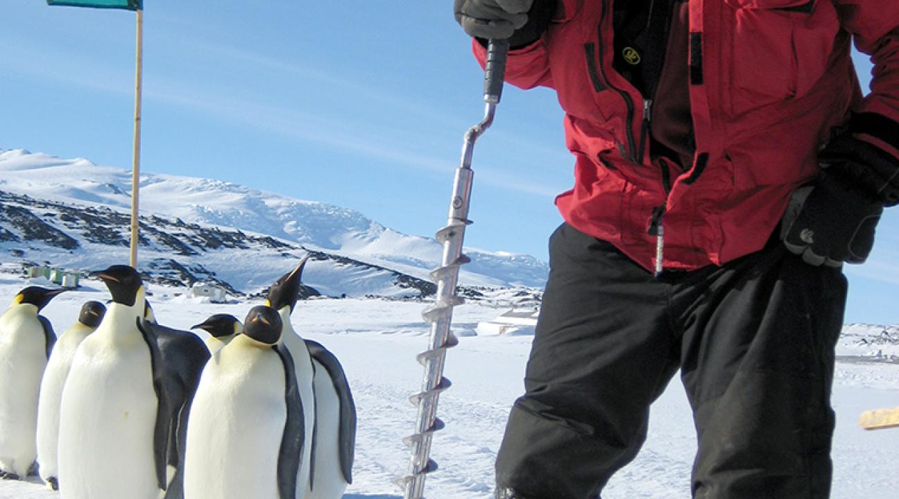sean place with penguins