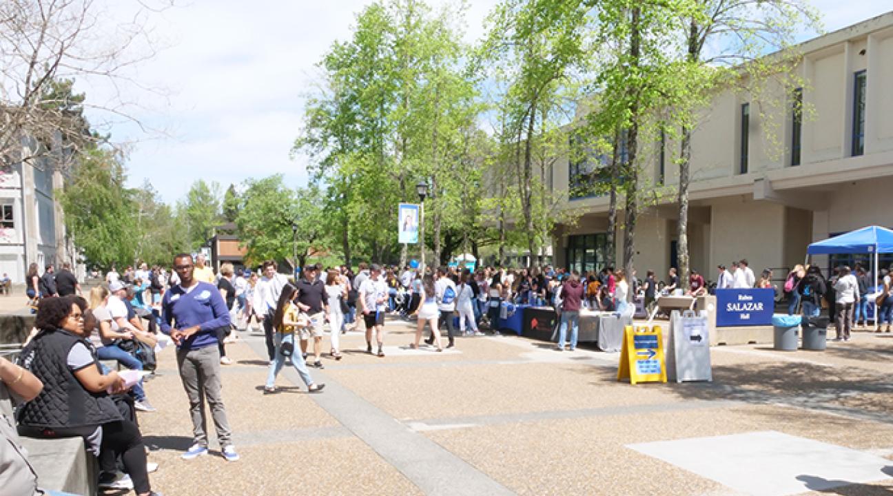 Seawolf Decision Day 2019 