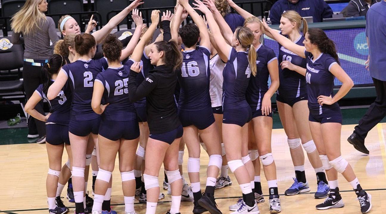 volleyball team
