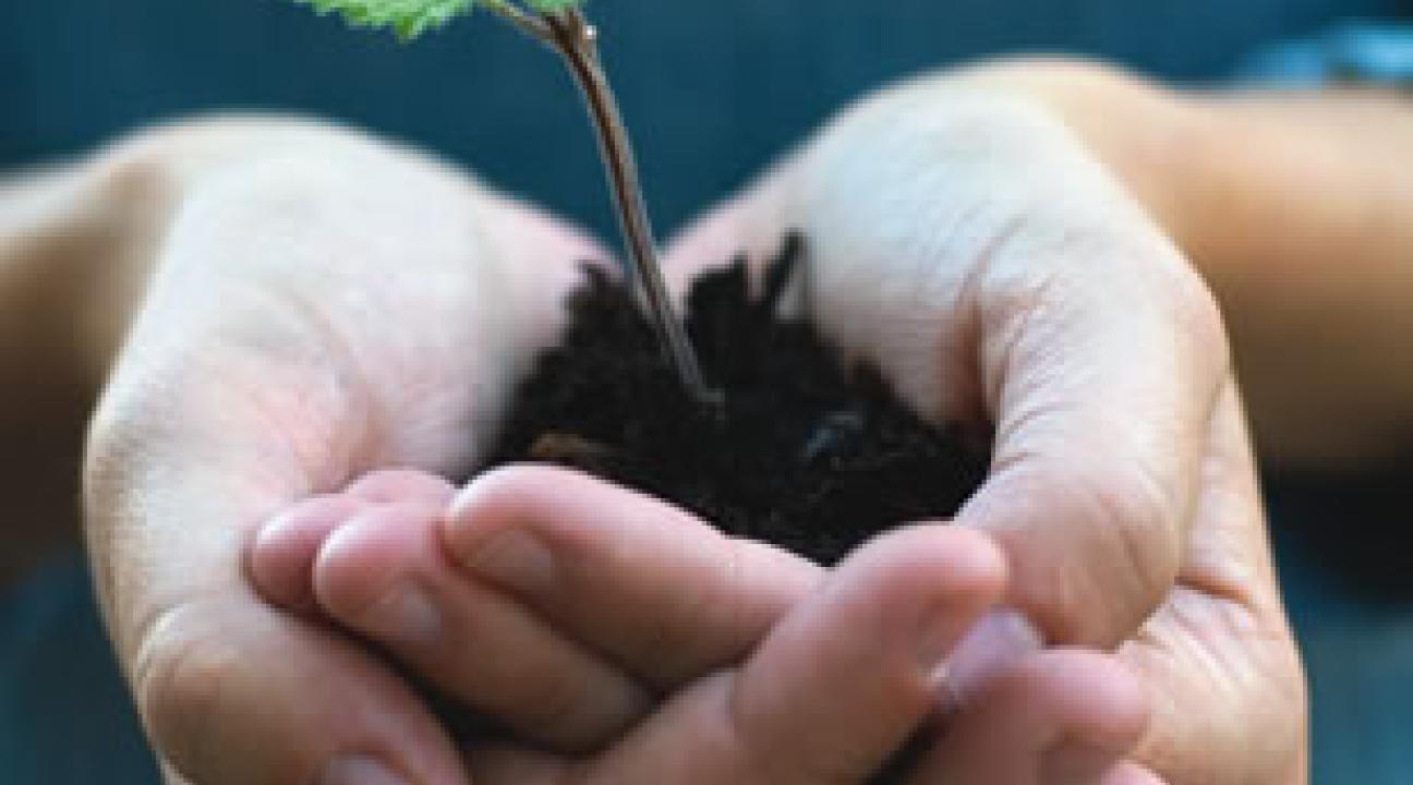 sustainability