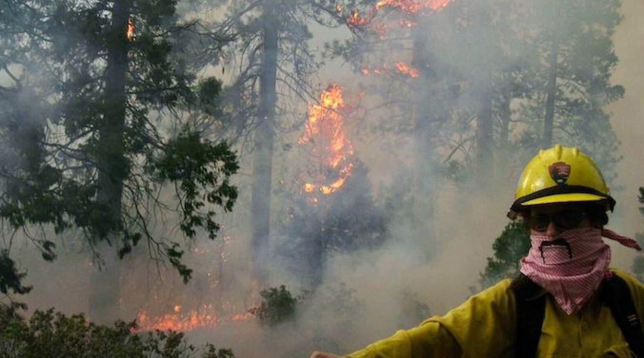 Firefighter in action