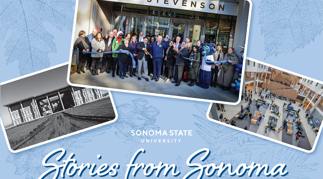 Stories from Sonoma postcard
