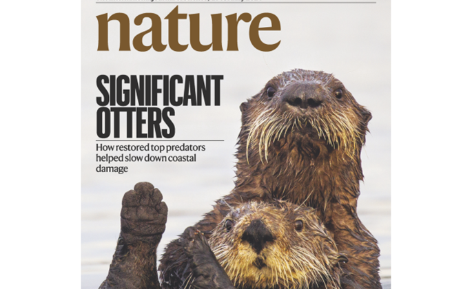 Significant Otters” - Nature cover article features SSU Professor Brent  Hughes' research