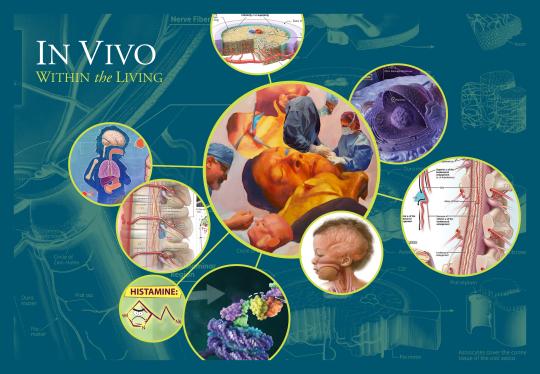 In Vivo: Within the Living an inspiring curated selection of paintings, medical illustrations, prosthetic devices and other work that bridges the worlds of fine art and medical science on view at the University Art Gallery at SSU from Feb. 5 to March 14, 2026