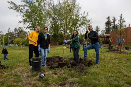 Volunteers at 2025 Sonoma State Seawolves Dig In plant new trees on campus.