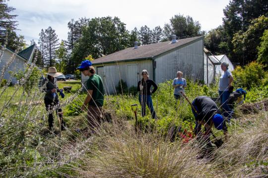 Volunteers roll up sleeves to green Sonoma State campus during 2026 Earth Week Seawolves Dig In activation