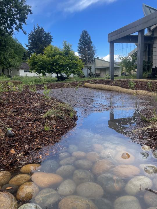 The bioswale with a volume of 150 cubic feet is capable of holding a little bit more than 1,100 gallons of water at a time. 