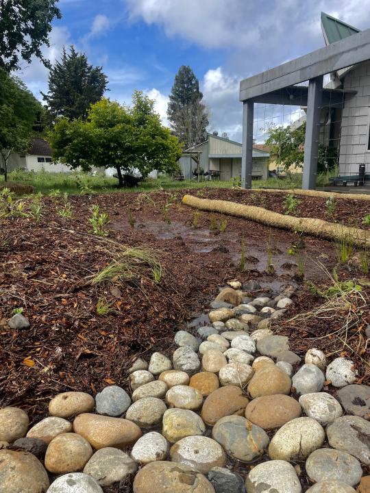 The bioswale combines native plants, biochar, subtle landscape grading, and a rock-lined bowl to slow and capture water that would otherwise flow directly into a storm drain.