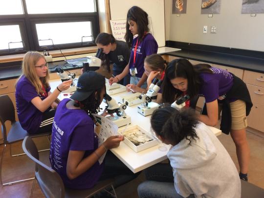 Tech Trek girls at work