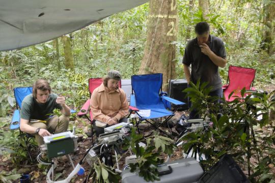  Co-authors Brandon McNellis, Lisa Patrick Bentley and Raymond Dempsey measure photosynthesis of tropical tree species in Australia.