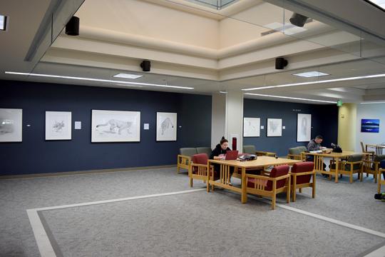 new spacious library art gallery