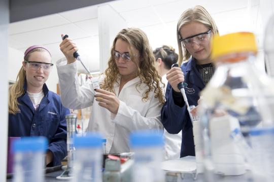 Sonoma State STEM grant