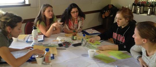 math teachers discussing ideas