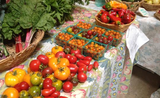 petaluma bounty food