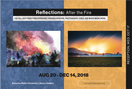reflections after the fire poster