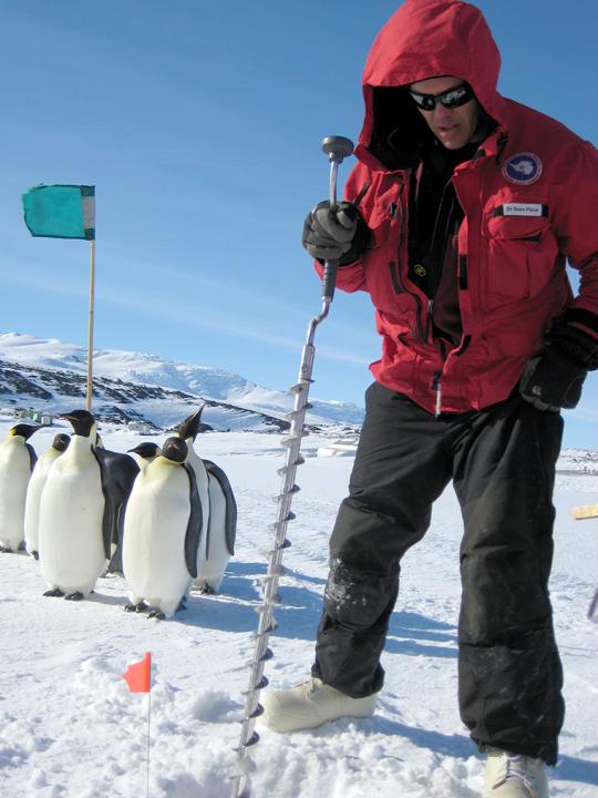 sean place with penguins